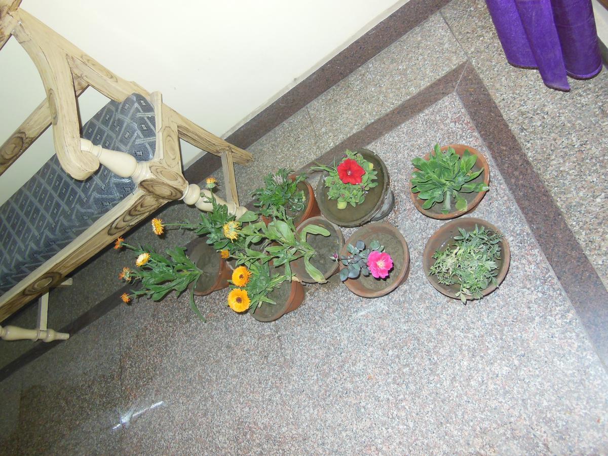 Shiva Inn Varanasi Dış mekan fotoğraf